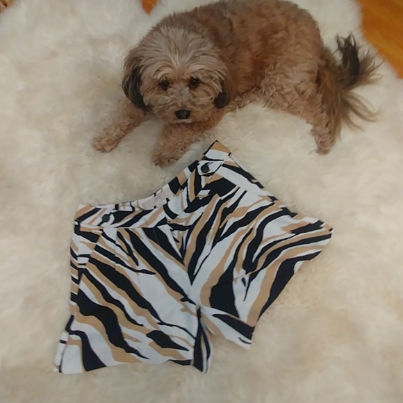 LOFT Pants - Dressy Loft Shorts!